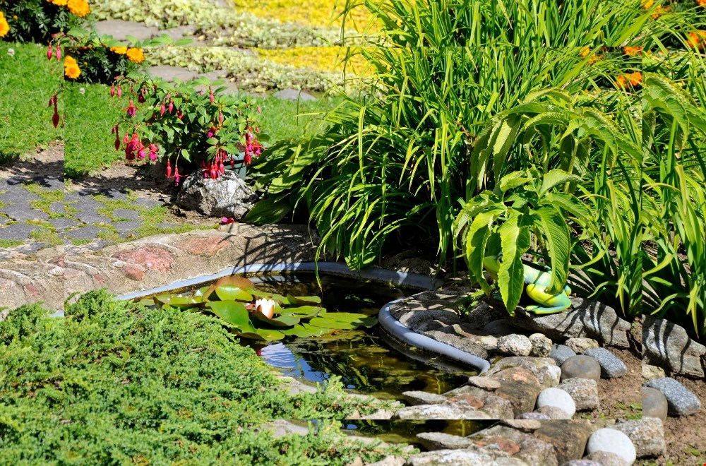 Met deze 5 tips maak je je tuin ecofriendly Met deze 5 tips maak je je tuin ecofriendly